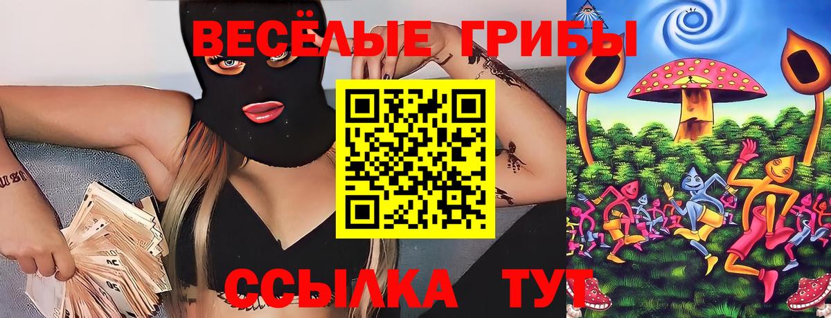 Кудрово  Галлюциногенные грибы Magic Shrooms  что такое   Вход с VPN 