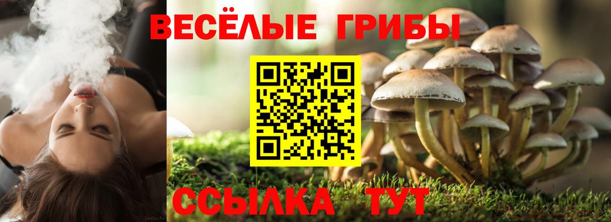 Псилоцибиновые грибы GOLDEN TEACHER Кудрово